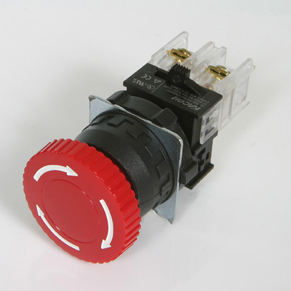 K30-81R